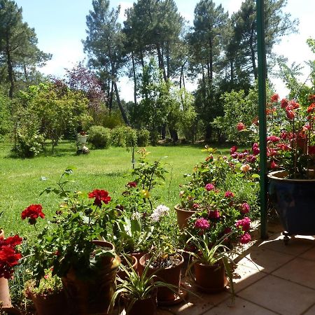 Domaine Du Planas - Patio Villa Ailhon Luaran gambar